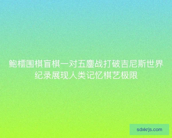 鲍橒围棋盲棋一对五鏖战打破吉尼斯世界纪录展现人类记忆棋艺极限